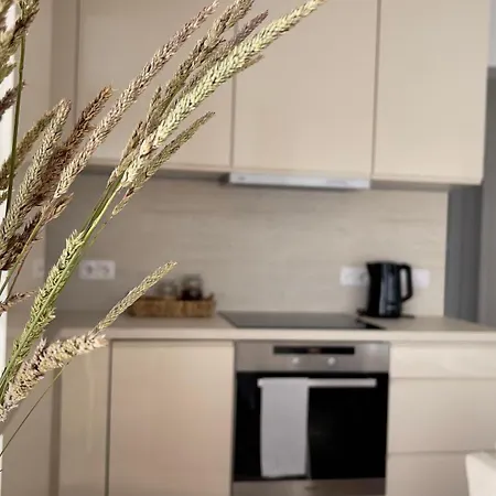 Apartment Tyliai Duzgia Palanga
