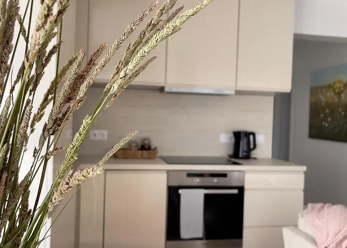 Apartment Tyliai Duzgia Palanga