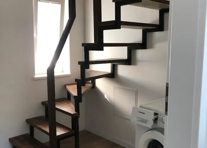 Tyliai Duzgia * Palanga